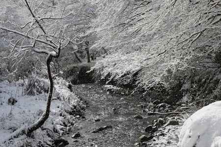 雪の貴船川