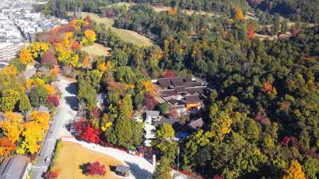 上賀茂神社（賀茂別雷神社）
