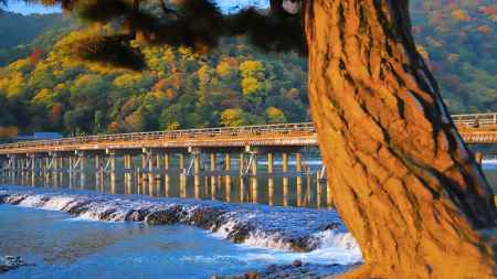 朝日に照らされた渡月橋