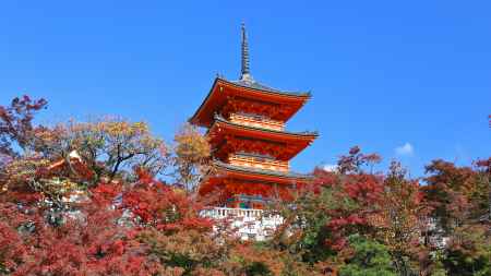 清水寺 三重の塔