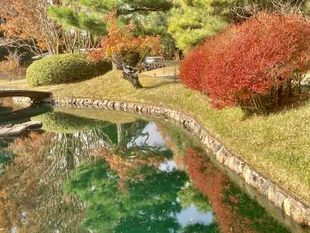 池に映る紅葉