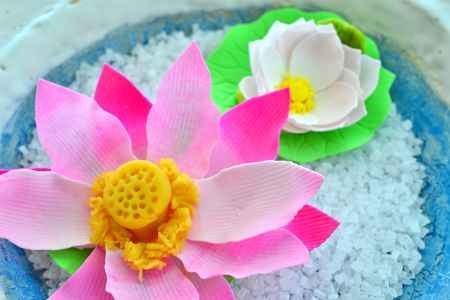 和菓子の世界　6