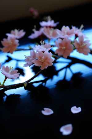 和菓子の世界　9