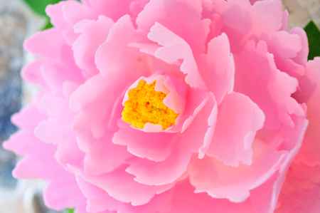 和菓子の世界　10