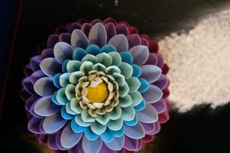 和菓子の世界　11