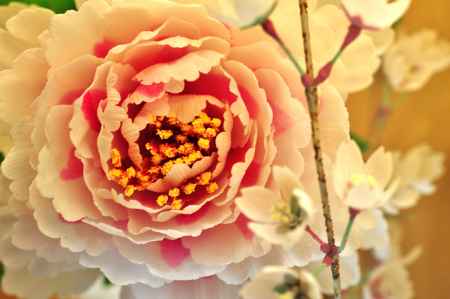 和菓子の世界　13