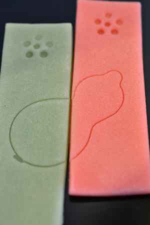 和菓子の世界　16