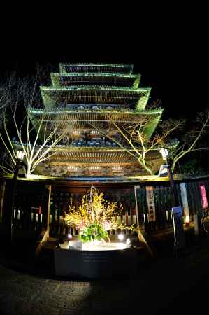 京都・東山花灯路2018  花と八坂の塔