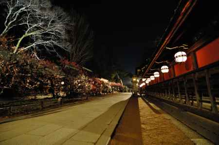 北野天満宮　梅　燈籠