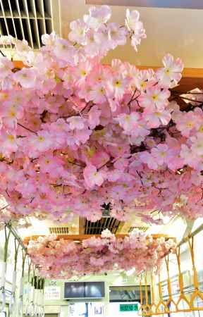 らんでん　桜電車　車内(縦位置)　