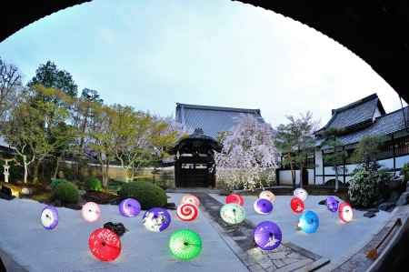 妙顕寺　春の特別拝観ライトアップ　