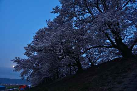 遠くに見える月