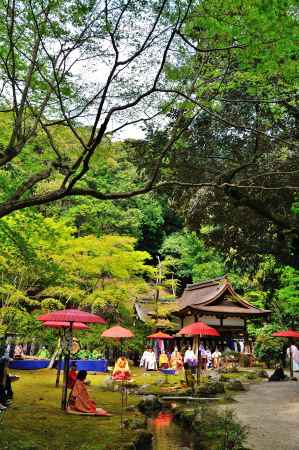 上賀茂神社　賀茂曲水宴　木洩れ日