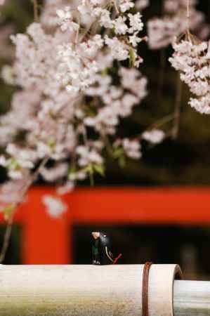 上賀茂神社　八咫烏　おみくじ　春