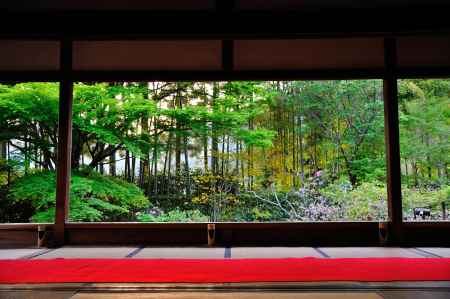 宝泉院　竹林　額縁庭園