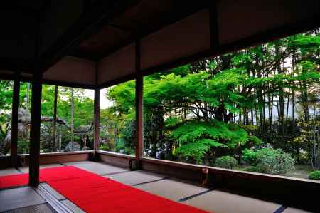 暮れゆく額縁庭園