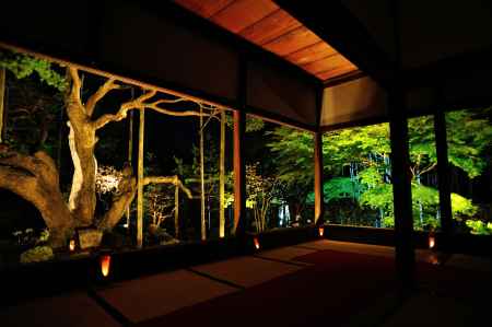 血天井と五葉松