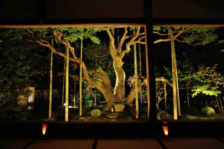 卯月　五葉の松