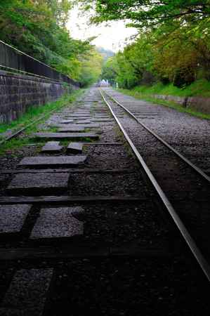 グリーンとグレーのノスタルジー