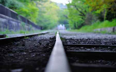 蹴上インクライン　猫目線