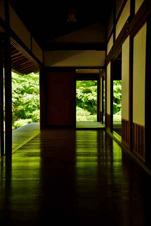 源光庵　風光る