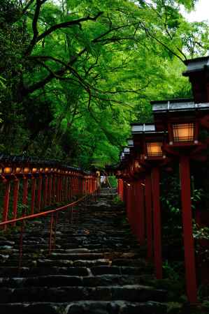 貴船神社　新緑ライトアップ　