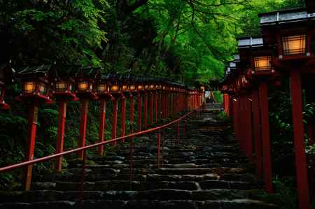 貴船　仄明かり 