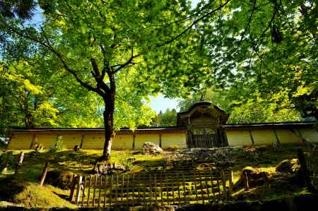 常照皇寺　勅使門