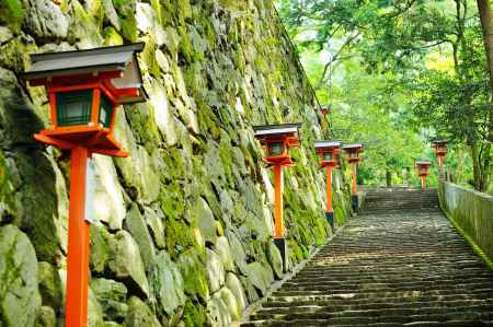 緑の九十九折の道