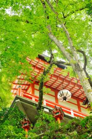 鞍馬寺　学びと修行の道　