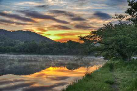 池畔の朝