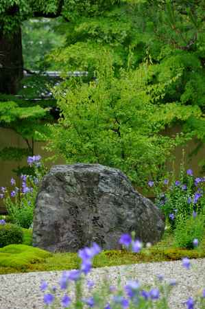 廬山寺  紫式部 邸宅址