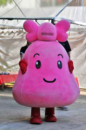 祇園祭後祭エコ屋台村  こごみちゃん