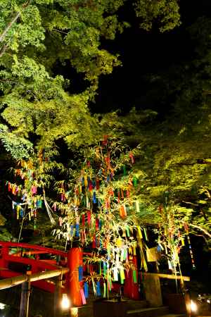 京の七夕　御土居