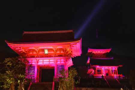 やさしいピンク