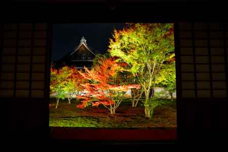 諸法実相　紅葉