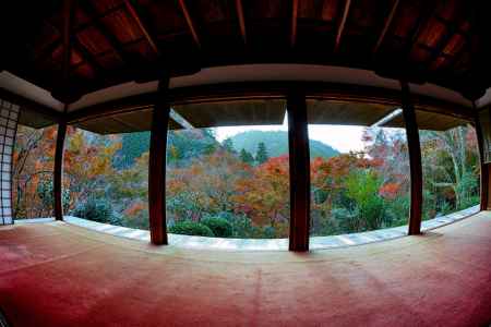 超ワイド＆パノラマ