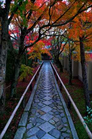 石畳の秋