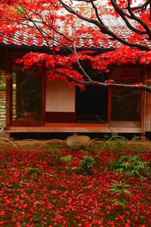 厭離とは…飽きることの無い　