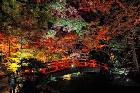 鶯橋　ライトアップ