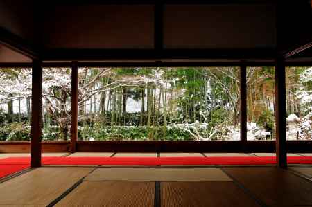 額縁の庭園　竹　雪