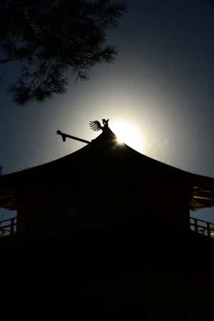 金閣　初日の出