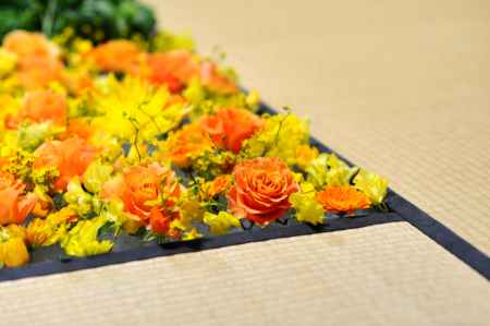 畳に咲く花