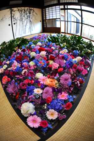 畳を埋め尽くす花