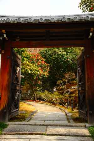 霊鑑寺　春の特別公開