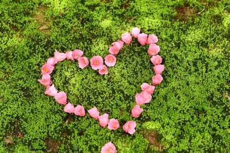 ロゼフローラのハート