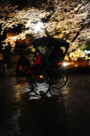 春の雨を駆け抜ける