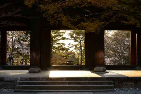 光降りそそぐ春