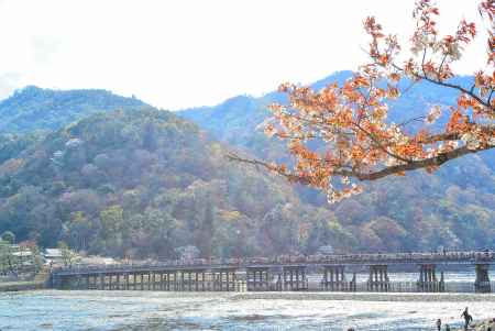春の渡月橋