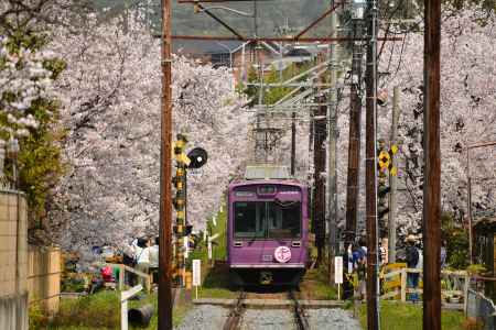 ガタン♪ゴトン♪春